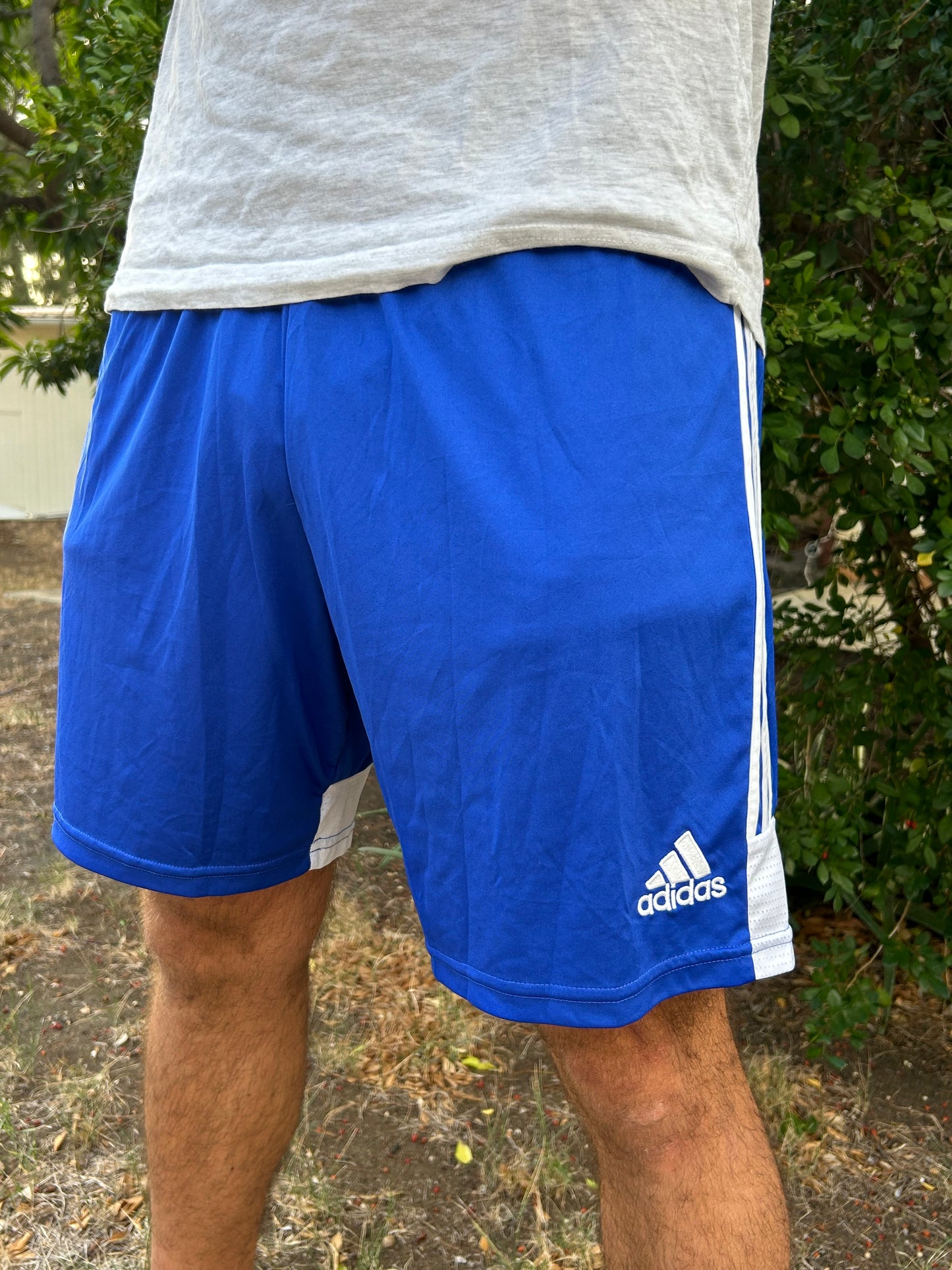 Short Adidas (L)